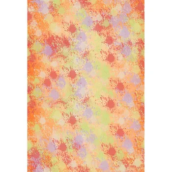 

New vinyl backdrops for photography Multi-color Oil Painted Studios Backgrounds Potrait Photo Backdrops Vinyl