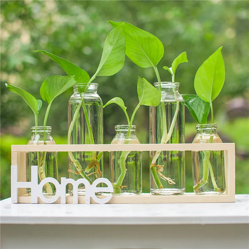 

O.RoseLif Brand Wooden Glass Vase Set for Office Desktop Decor Plant Epipremnum Aureum Vase Without Home Decoration Accessories