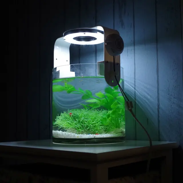 Aquarium cylindrique support avec la observation et de support de lampe