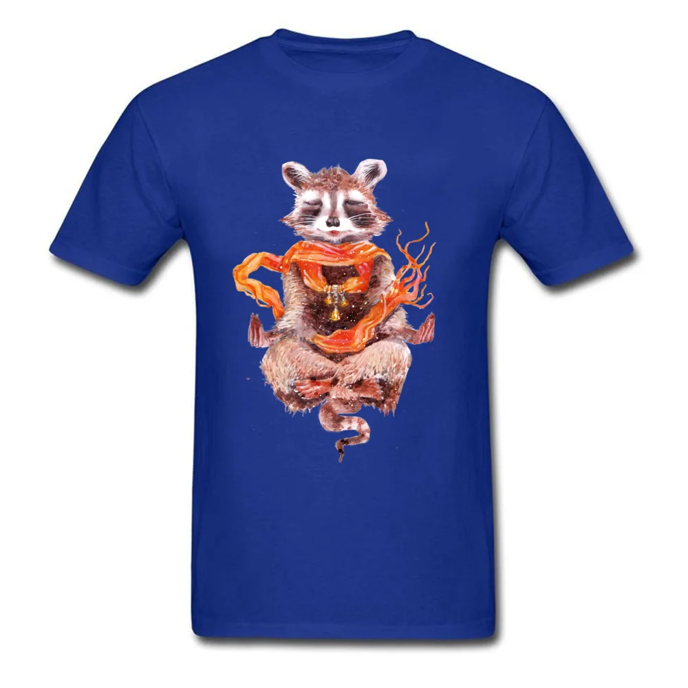 Raccoon meditates (female)_blue