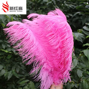 

10 PCS beautiful pink natural ostrich feather 30 to 35 cm / 12 to 14 inches feathers artware performing wedding decoration