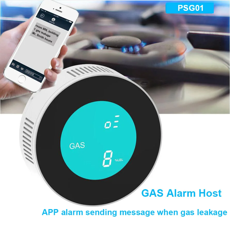 

PSCBT Gas Leakage Detector Analyzer Combustible Gas Leak Location Determine Tester Sound-light Independent Alarm