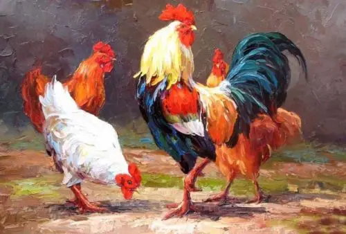 Indah Minyak Lukisan Hewan Unggas Unggas Ayam Rooster Chanticleer