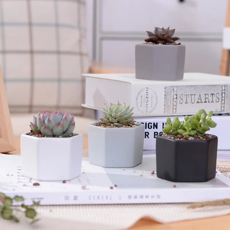 Набор из 4 матовых декоративных шестигранных цветочных Горшков|flower pot|plant potbonsai