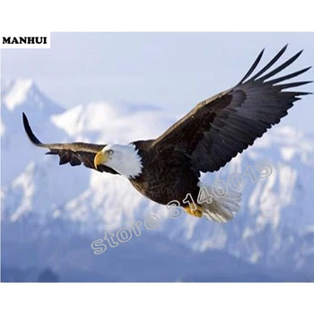 

Full Square Diamond 5D DIY Diamond Painting Animal Eagle Embroidery Cross Stitch Rhinestone Mosaic Painting Home Decor BFC344