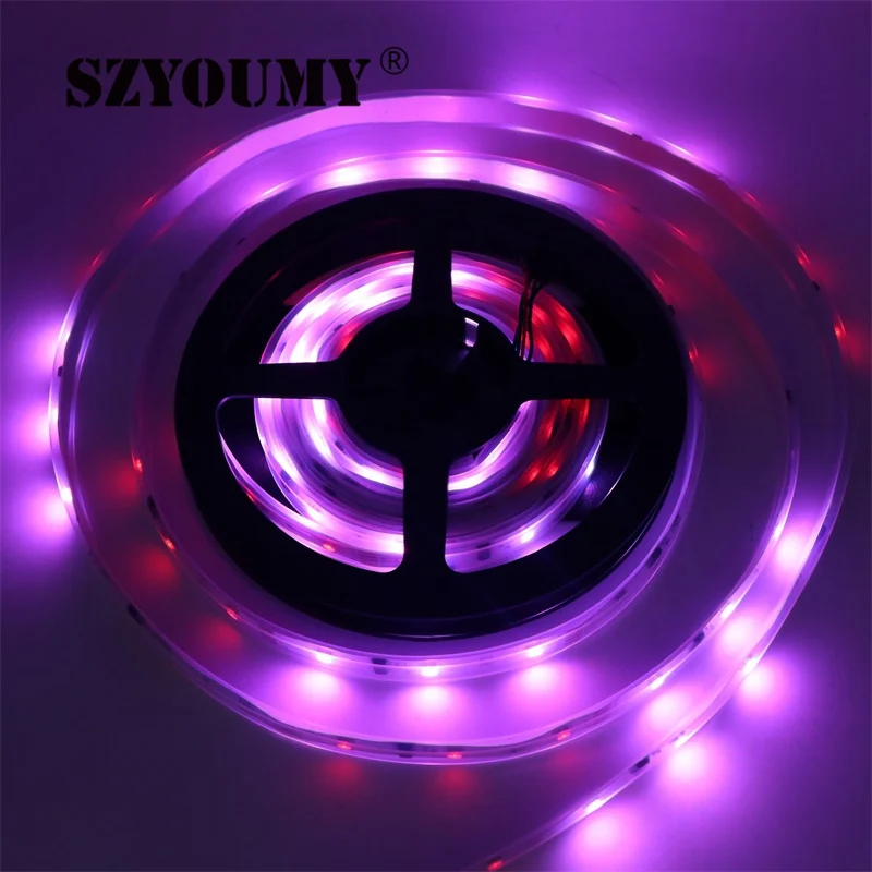 SZYOUMY DC12V 5M 6803 IC Dream волшебный цвет Светодиодная лента 5050 RGB светодиодная