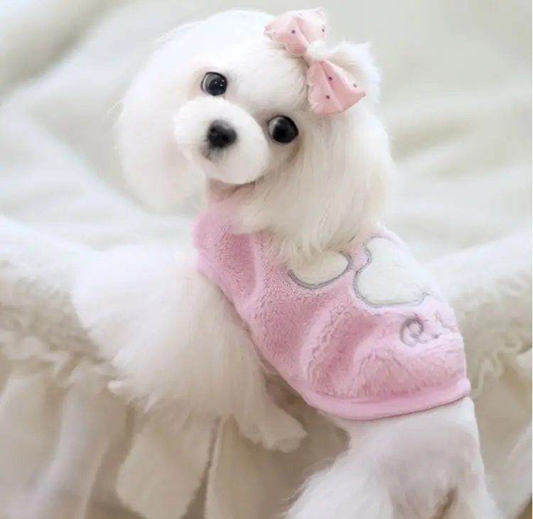 Buy Wholesale Pet Product for Dog Clothes Teacup