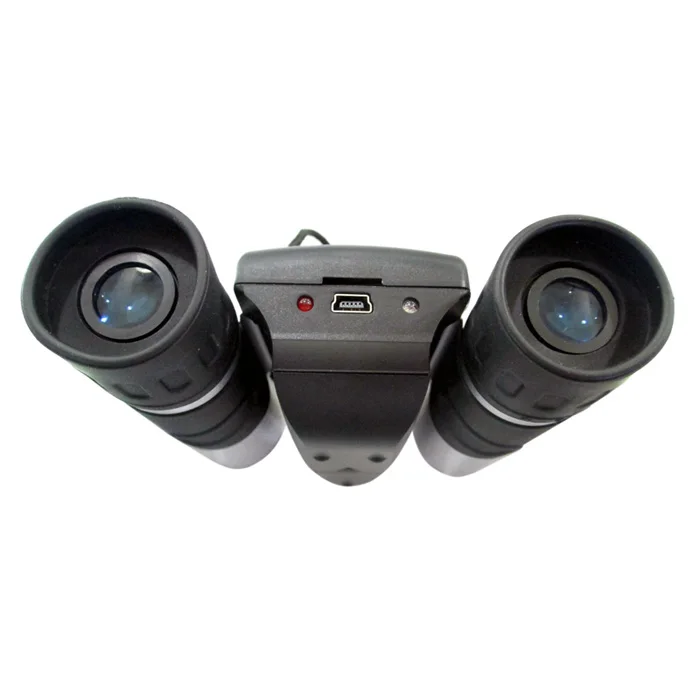 dt08 (25)