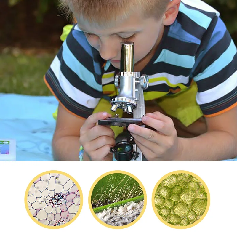 Children Educational Microscope 300 600X 900X Illuminated Bio-microscope Toy Learning Science Christmas Birthday Gift Microscope