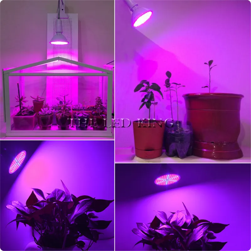 E27 50 Вт Светодиодный светильник для выращивания растений, двойная лампа, лампа полного спектра+ Настольный держатель, набор зажимов, гидропоники для семян, цветов, овощей, светильник ing