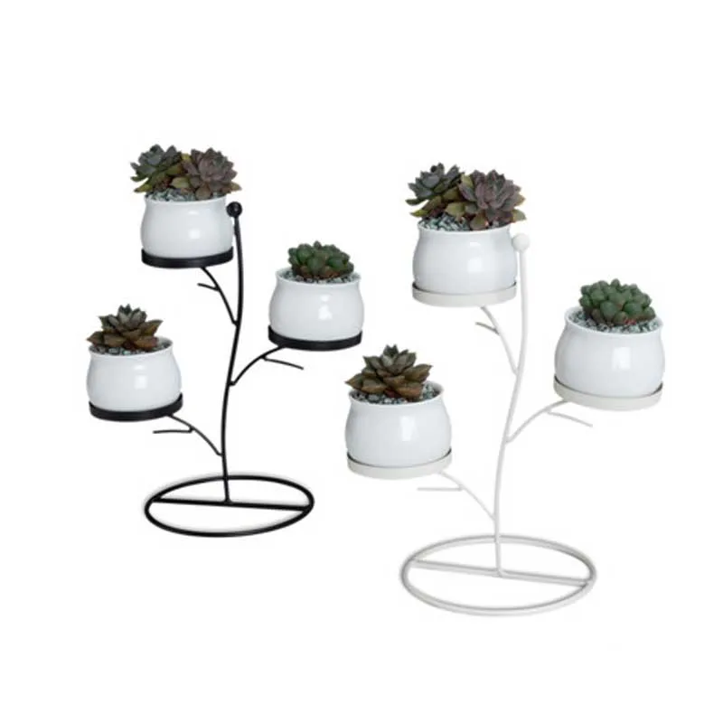 

Succulent Plants Flower Pot Iron Frame Set Innovative Geometric Branches Small Round Ceramic Flower Pot And Plant Stand Set
