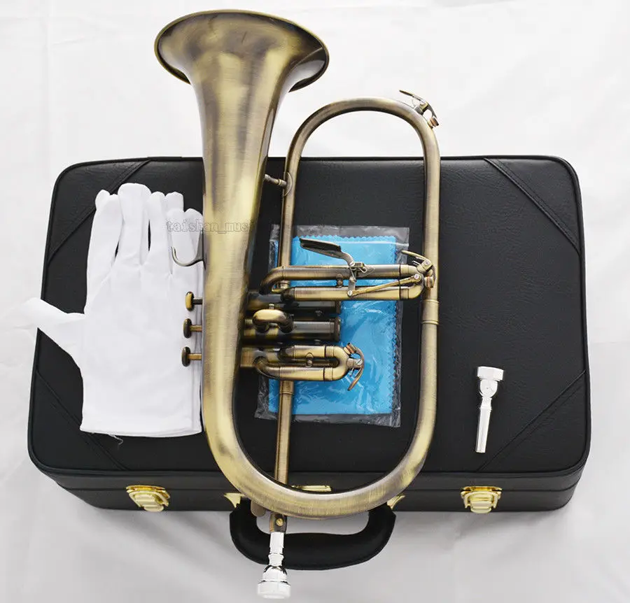 Профессиональный Bb Flugelhorn сигнал под старину монельные клапаны с 2 рот кожаный чехол|Труба| |
