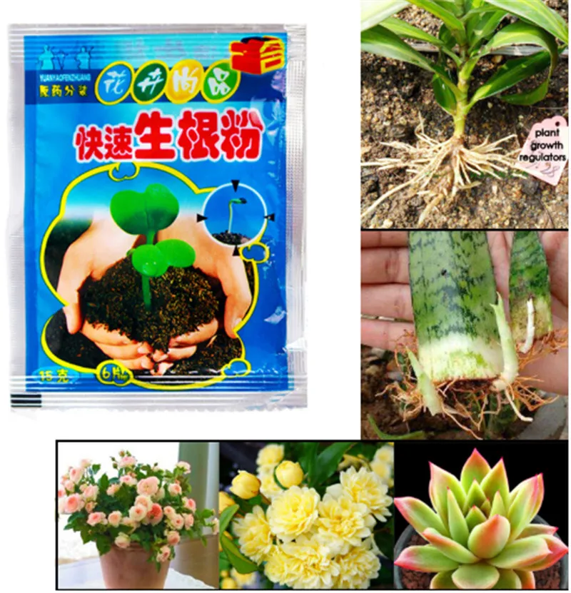 

Bonsai Plant rapid growth root medicinal hormone regulators growing seedling recovery germination vigor aid fertilizer Garden
