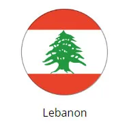 car sticker (37)