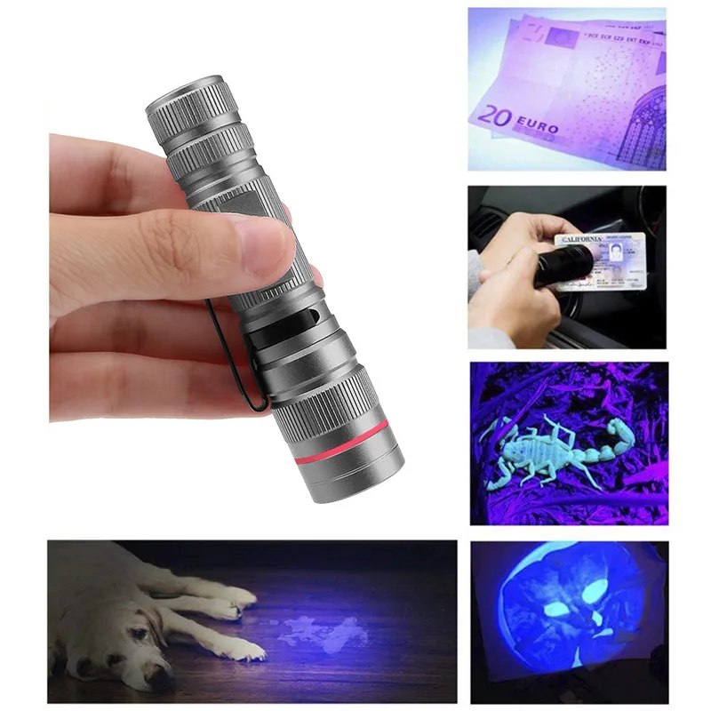 UV Flashlight (8)