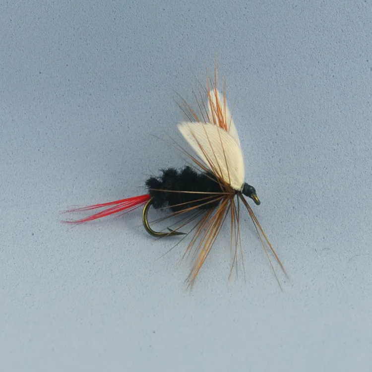 Black Whtie Wings