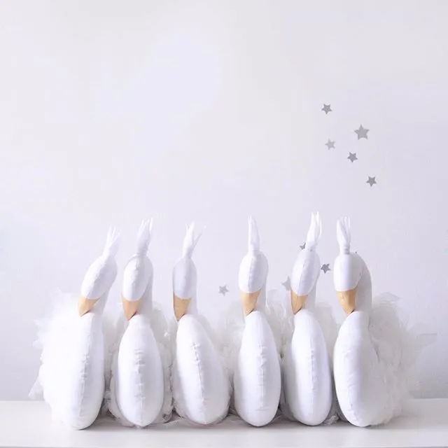 3470456223_1002506882