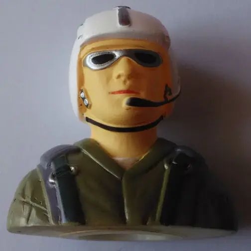 freewing-a10-pilot-1