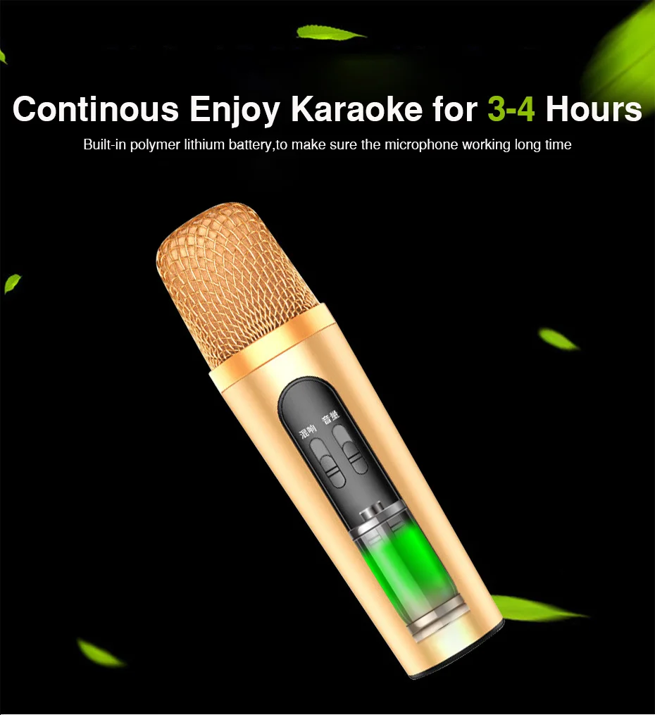ECHO Karaoke Microphones Handheld UHF wireless microphone mic systems for phone teaching stage voice amplifier speaker (8)