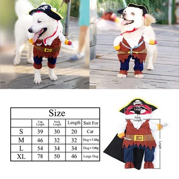 Cat Pirate Cosplay Costume 5