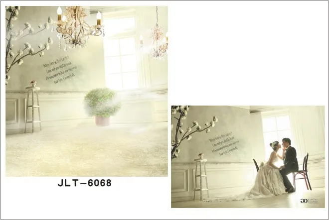 

300*500cm  Vinyl Muslin Photography Backdrops Prop  Wedding   Background JLT-6068