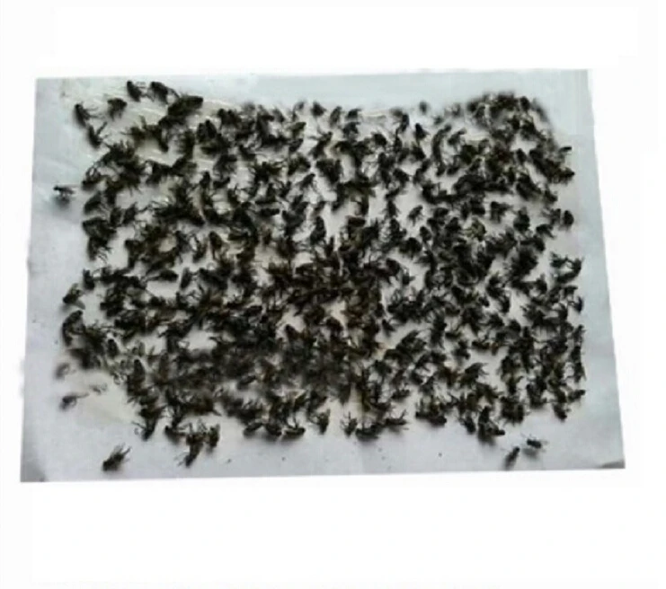 1PCS Summer pest control Strong sticky fly paper stick board flies