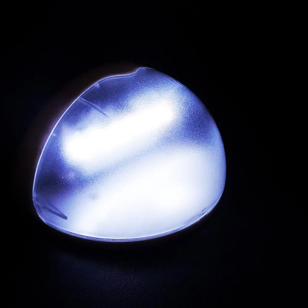 Solar Light (4)