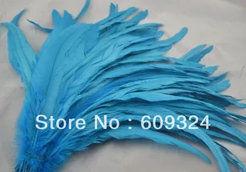 

Free shipping Wholesale 100pcs/lot 30-35cm Turquoise Cock feather rooster tail Feather Coque tail feather