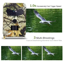 1080 P HD 12MP Trail Охота Скаутинг дикой природы камера TTL инфракрасный ИК ночного IP56 открытый объектив