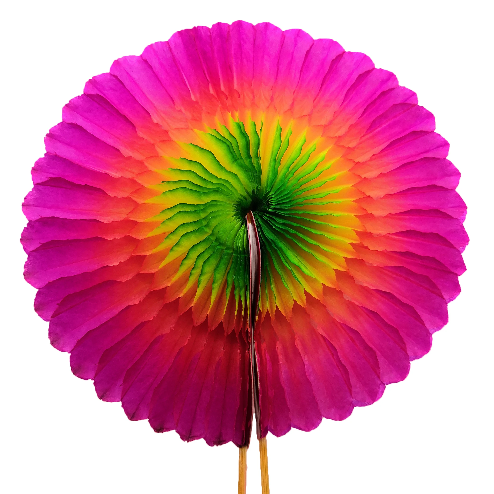 Chinese Magic Flower DIY Manual Deformation Educational Toy Magic Tricks Mass Effect Handmade Sticker For Children Holiday Gifts Chinese Magic Flower DIY Manual Deformation Educational Toy Magic Tricks Mass Effect Handmade Sticker For Children Holiday Gifts