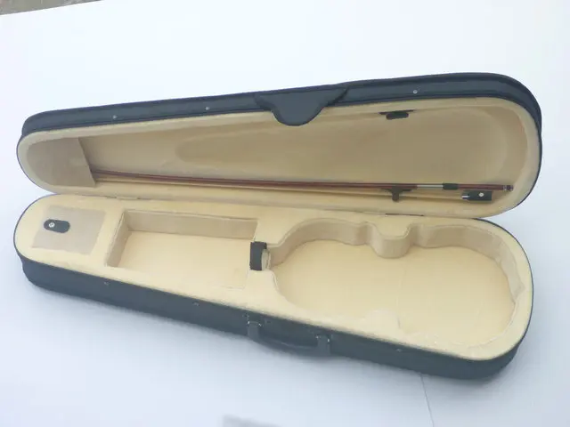 

Violin case -----1 popularity of the violin portable case trigonometric foam case