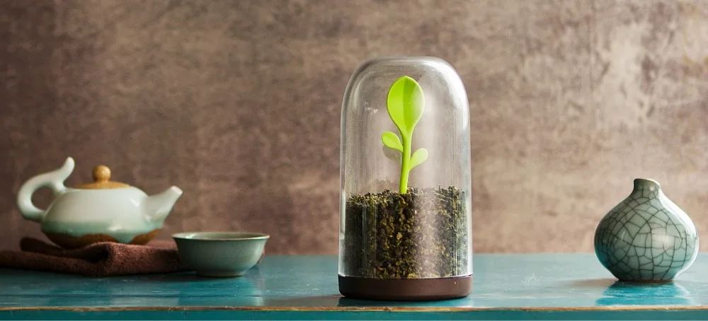 Sprout Jar coffee tea storage container with spoon clear dome