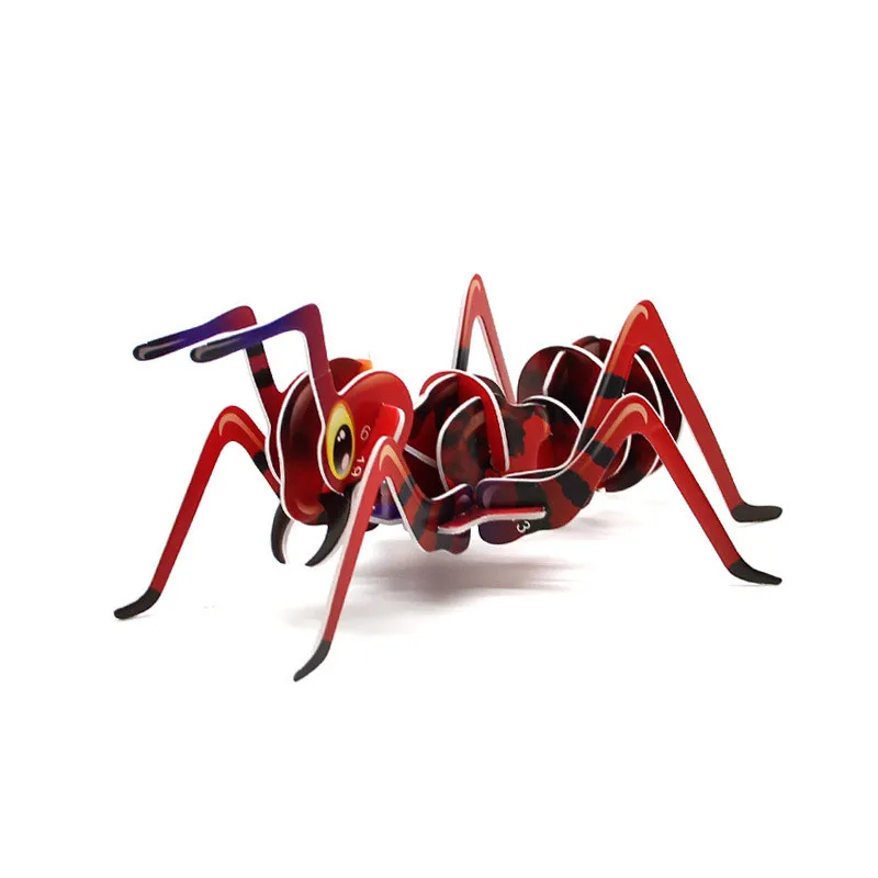 3251278509_537609528_