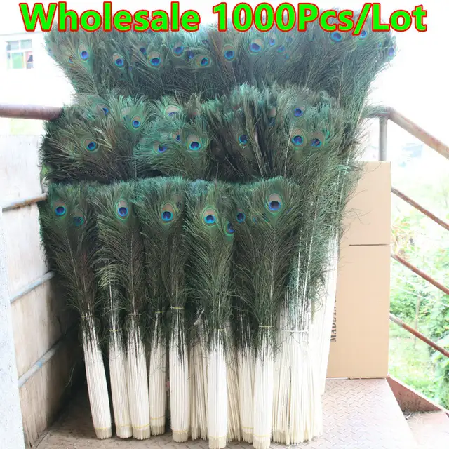 1000pcs Lot Wholesale Natural Real Peacock Feathers For Crafts