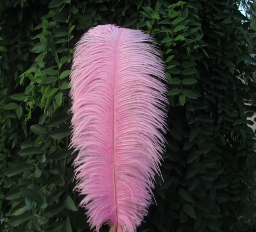 Cheap! Beautiful pink ostrich feathers 50 pcs 14 16 inches / 35 40 cm