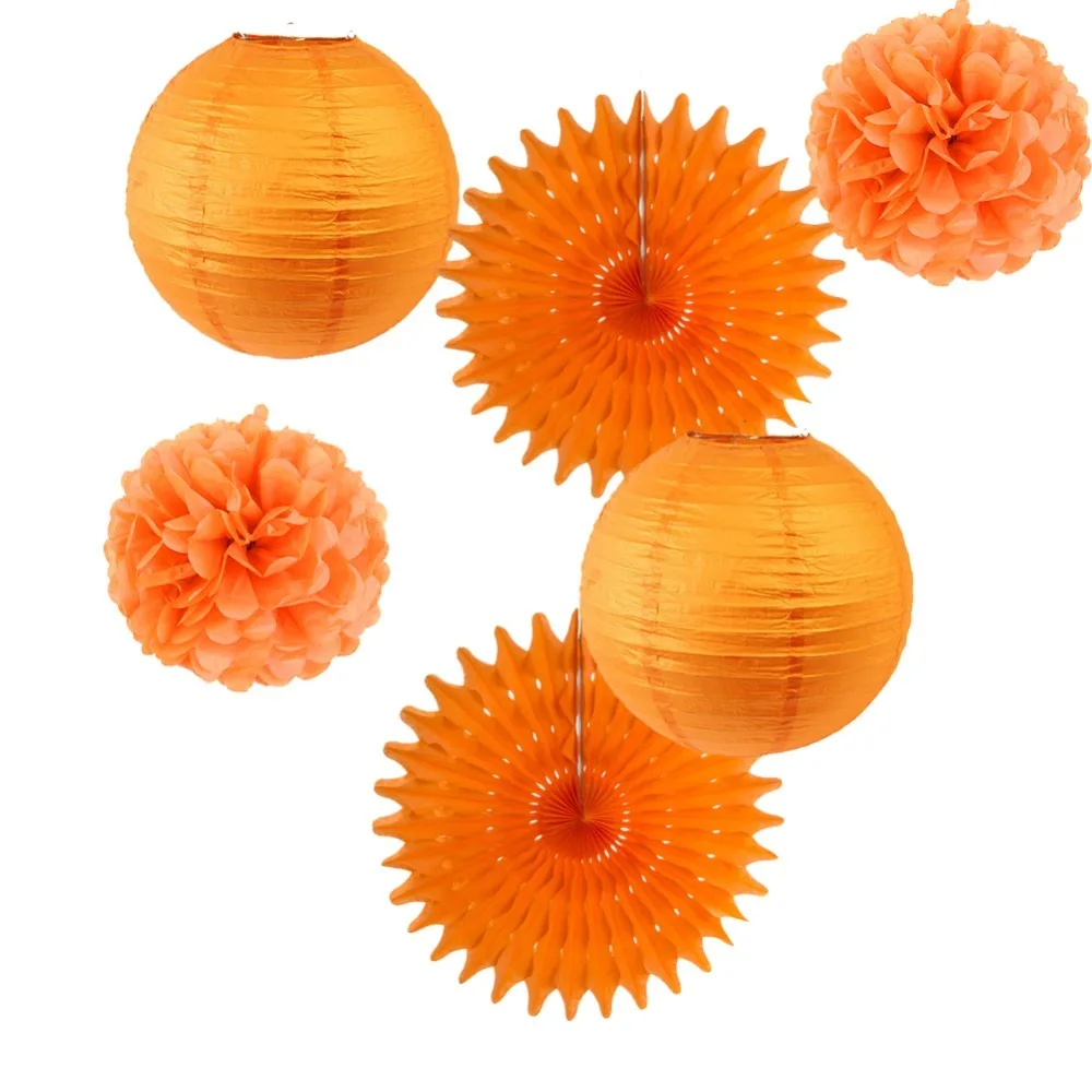 6- (1)