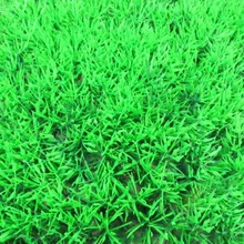人工水族館草盆栽水水生植物芝生の家族の水槽の装飾水族館グリーン水草装飾風景 Aliexpress ホーム ガーデン