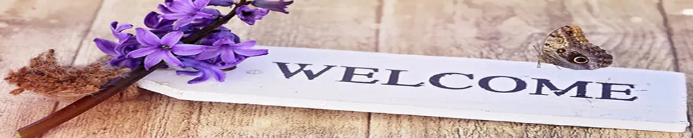 322685_banner_