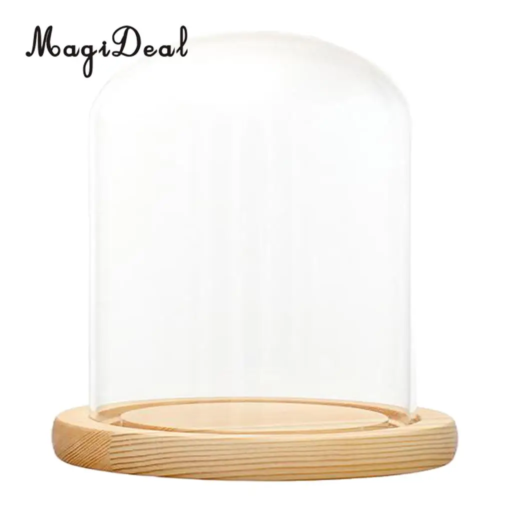 MagiDeal 	DIY Clear Glass Hemisphere Dislay Dome Cover Shade Cloche Oval With Cork Garden Decor Succulent Plants Vase Container