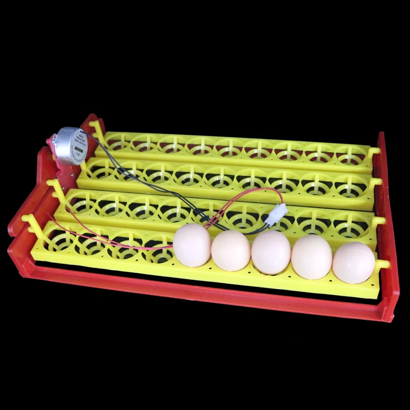 36 Eggs Incubator Automatic Incubator Automatically Turn Egg Tray Incubation Experiment Teaching Equipment 4 * 9 Holes