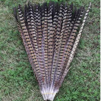 

Pheasant feather wholesale 50 pcs natural color beautiful length 18 - 20 inch / 45 - 50 cm