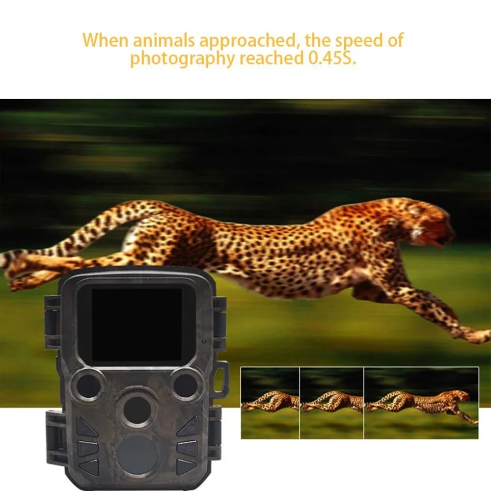 

H501 1200W HD Pixels Waterproof Hunting Camera For Field Outdoor Monitoring Pyroelectric Infrared Sensing Technology