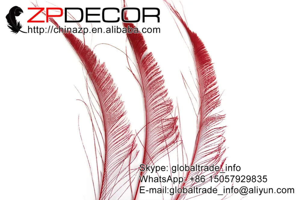 Red peacock swords feathers  (4)