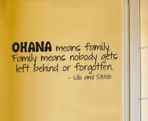 

Wall Sticker Decal Quote Vinyl Art Lettering Lilo and Stitch Ohana Family G023