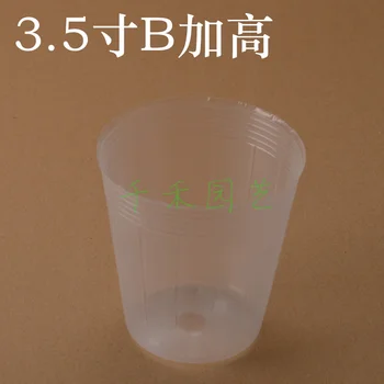 

Nutritional bowl nursery bags 3.5 inch B transparent pots succulents