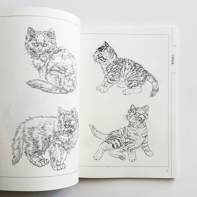 Livro котомемы. Desenhos para colorir para o adulto e as crianças pintura  desenho pintura учимся animais de estimação gatos Livros em Russo reyno  cigarro Eletrônico psicologia do diário adesivos