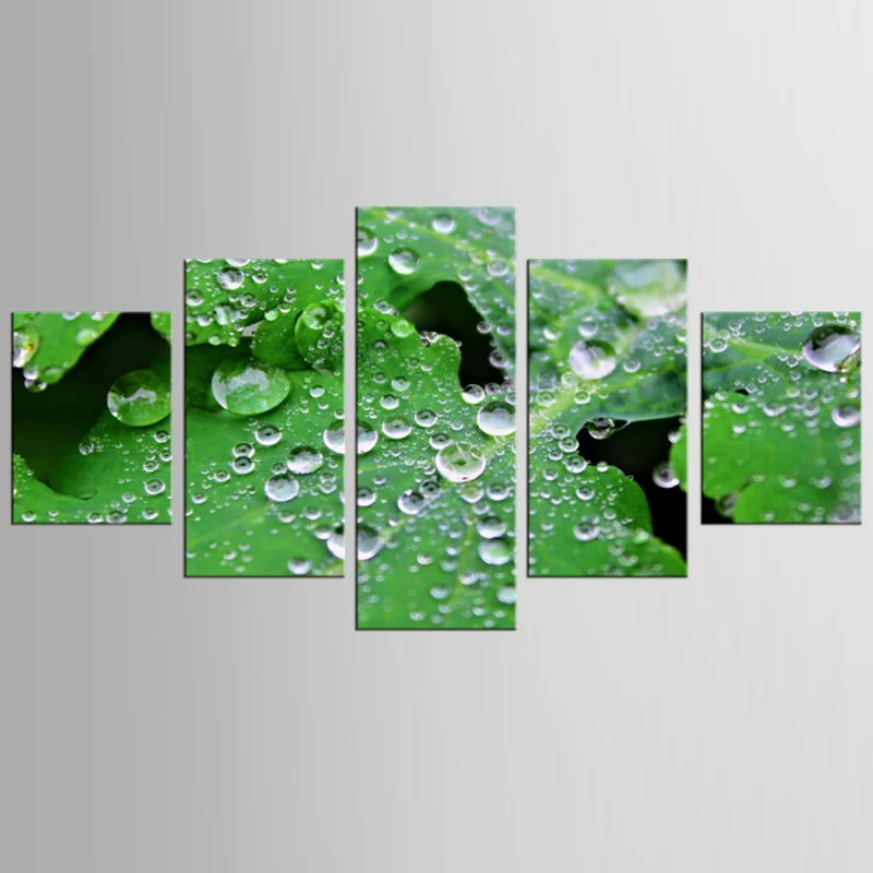 

New frame 5 panel plant close-up view canvas print modern canvas wall art mural decorative artwork FJJX-1070