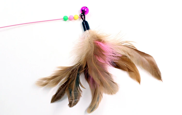 4560376622_1041227635