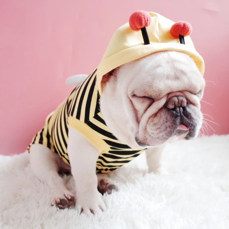 

Spring Summer Dog Clothes Funny Pet Apparel Dog Vest Chihuahua Cat Puppy Pomeranian Poodle Bichon Schnauzer Pug Clothing Shirt