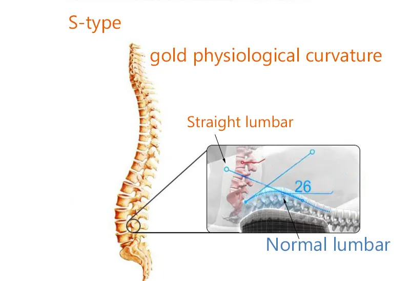 Acupuncture-plate-602-(13)